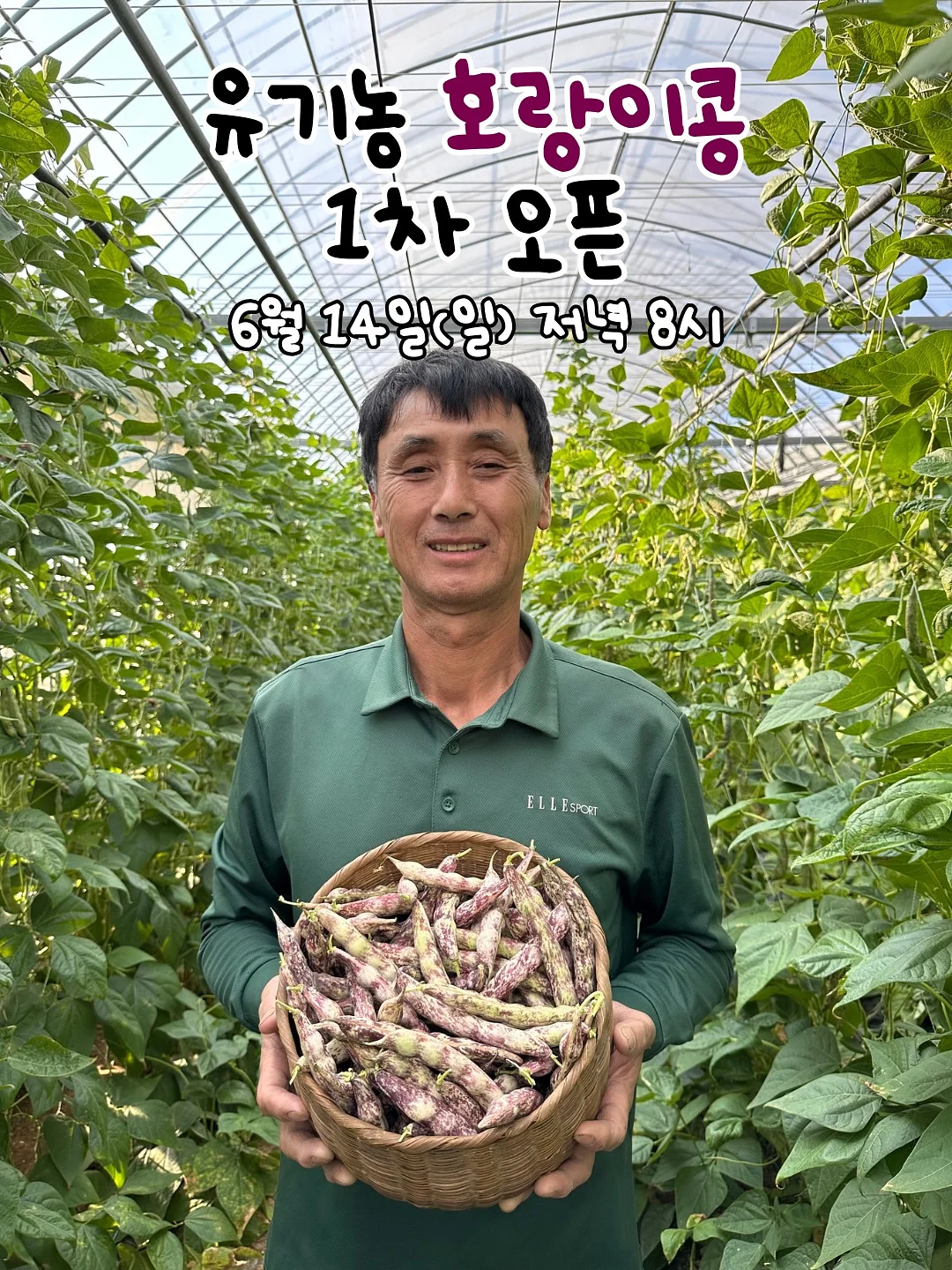 와플 벤시몽 1