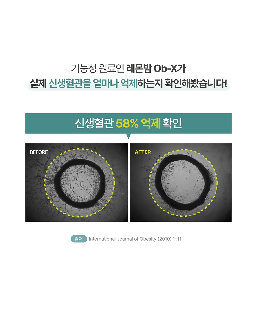음식 사진 프롬프트 3