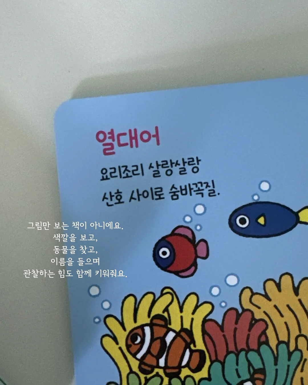 레빈 오간자 자켓 8