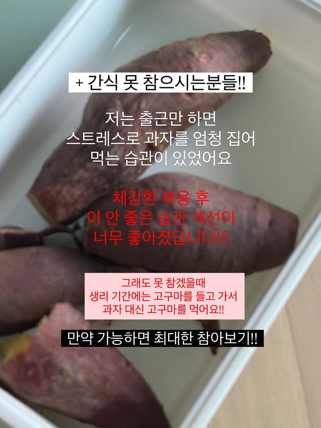 아기 그릇 6