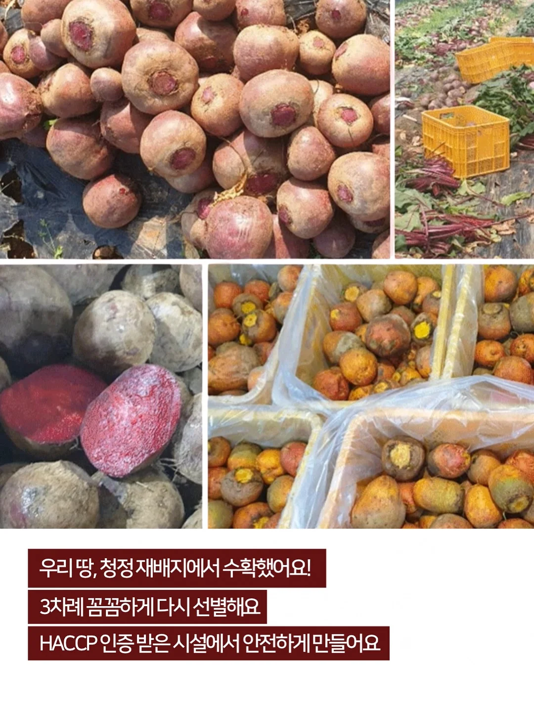 마이키즈 플러스 로션 11