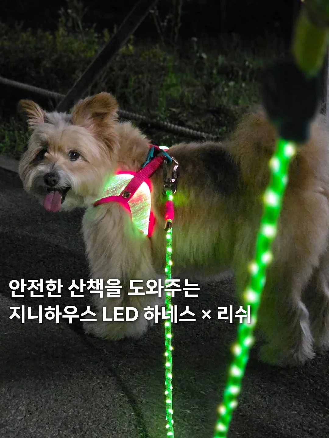 발리 4박 5일 풀빌라 패키지 1