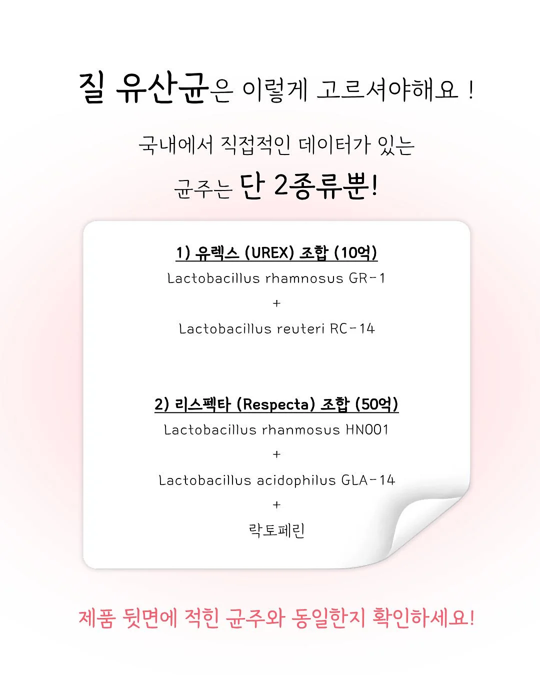 오늘의 꽃 힐링게임 4