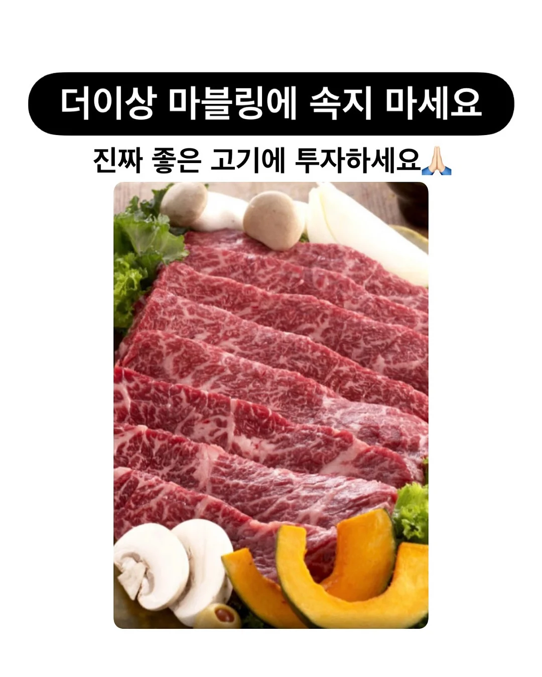 넥스트레벨 과학지식서 1