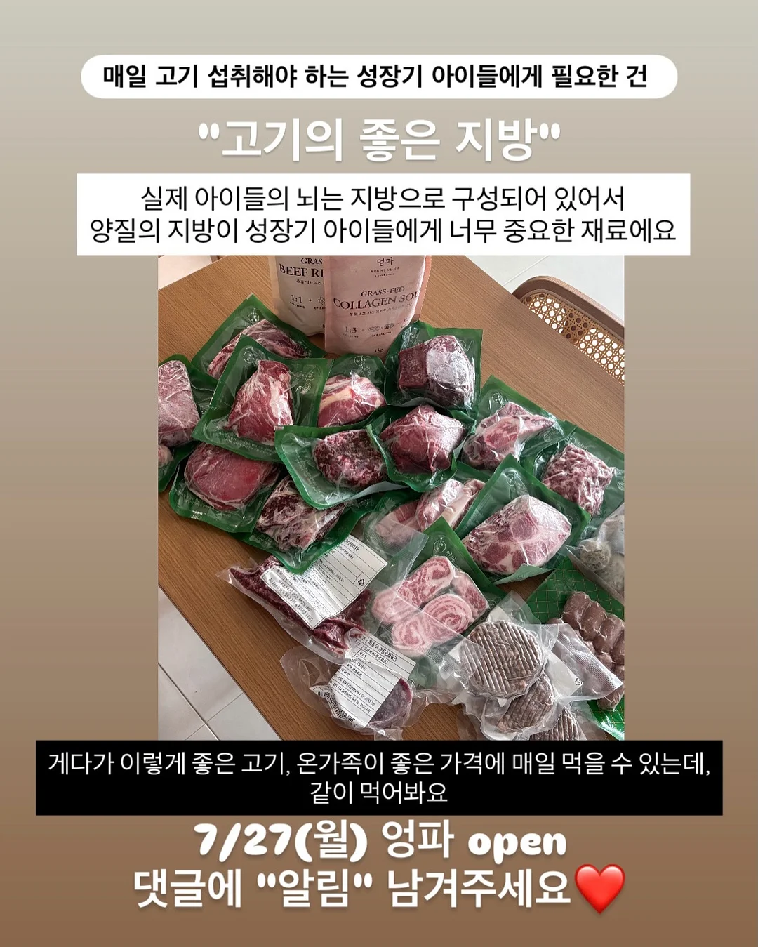 넥스트레벨 과학지식서 11