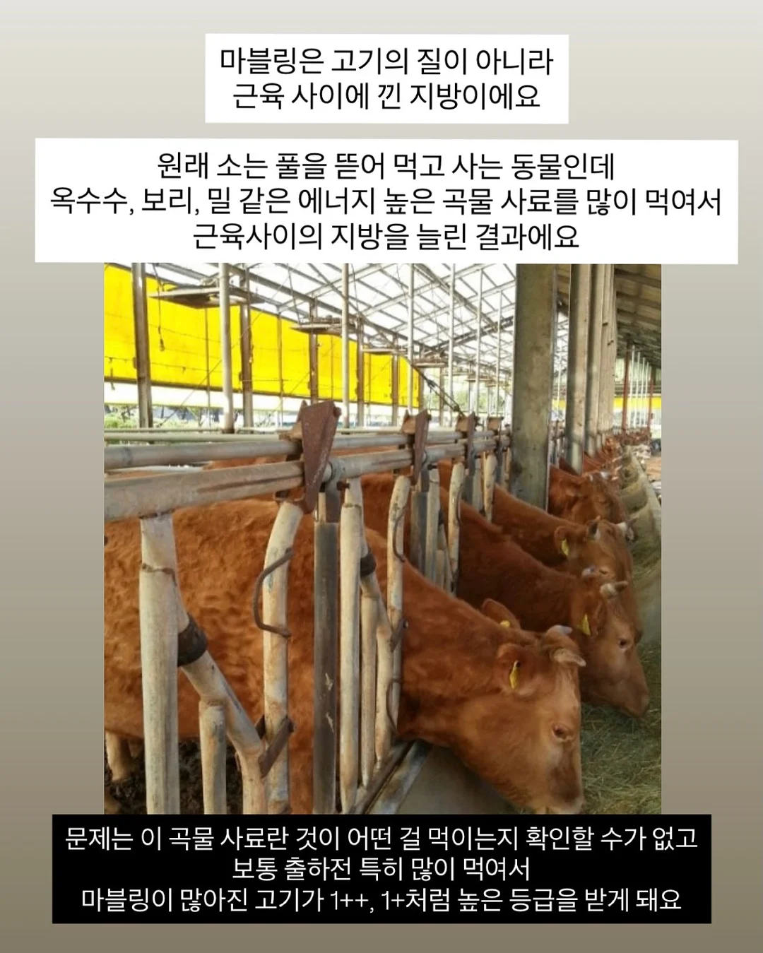 넥스트레벨 과학지식서 2