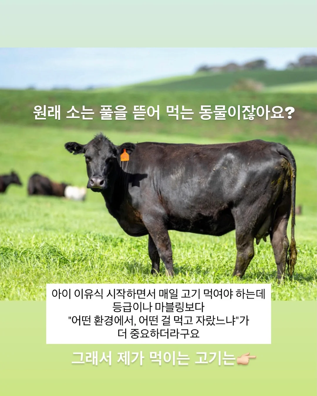 넥스트레벨 과학지식서 3