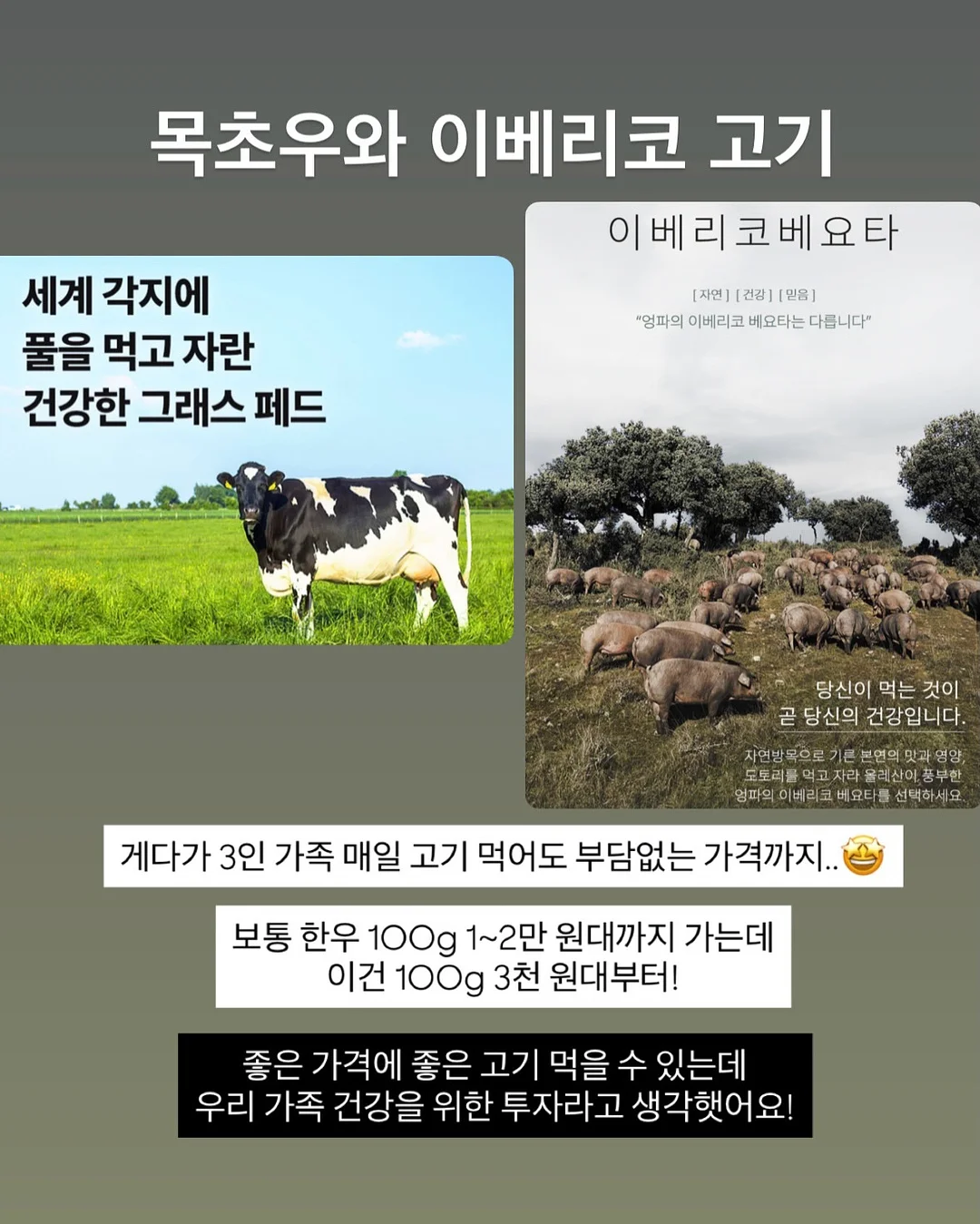 넥스트레벨 과학지식서 4