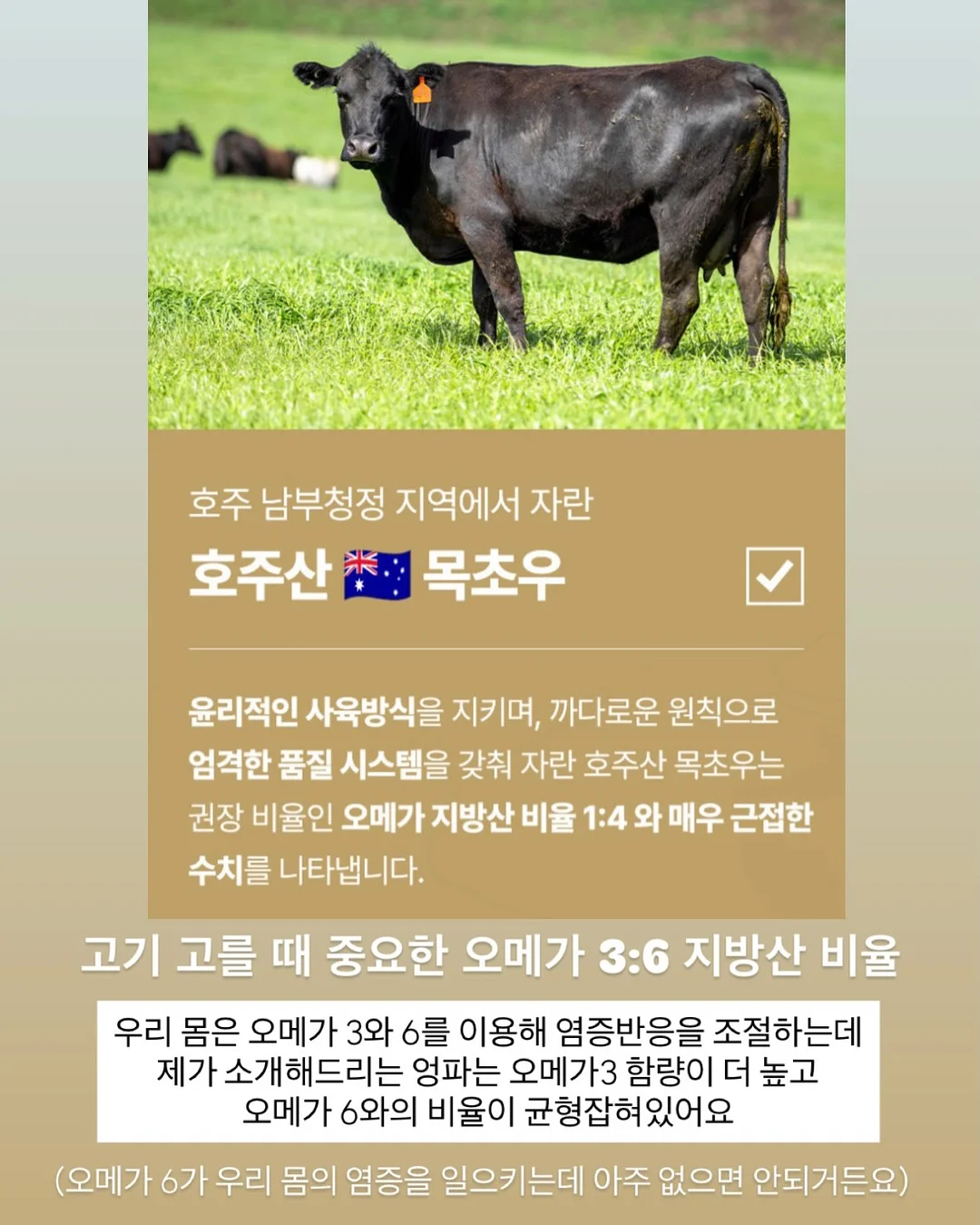 넥스트레벨 과학지식서 5