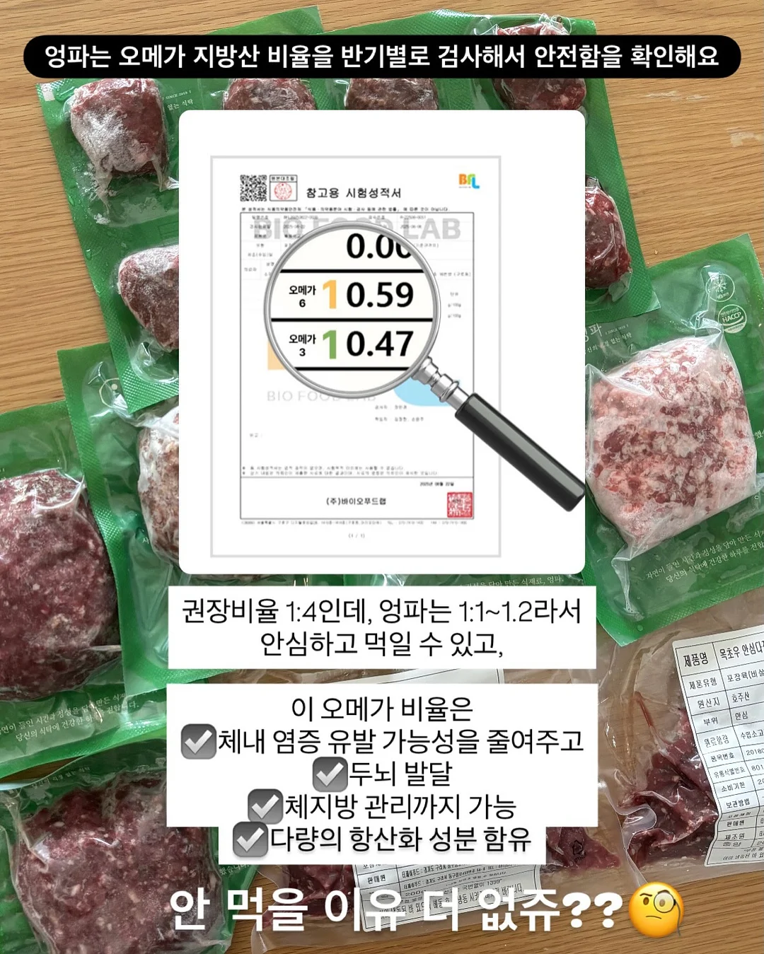 넥스트레벨 과학지식서 6