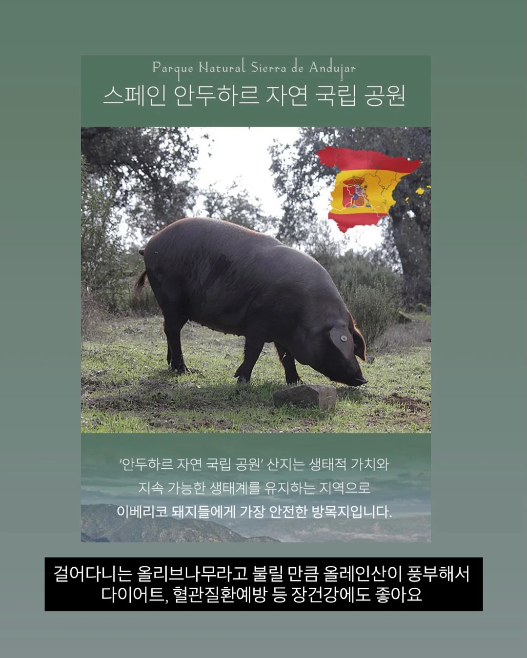 넥스트레벨 과학지식서 8