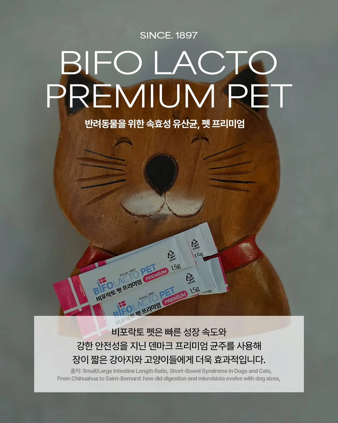 차량용 공기청정기 13