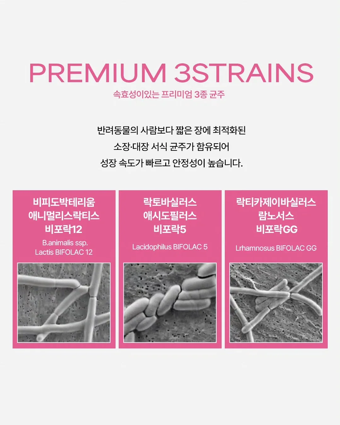 차량용 공기청정기 14