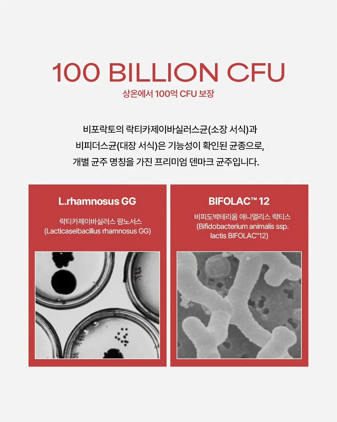 차량용 공기청정기 6