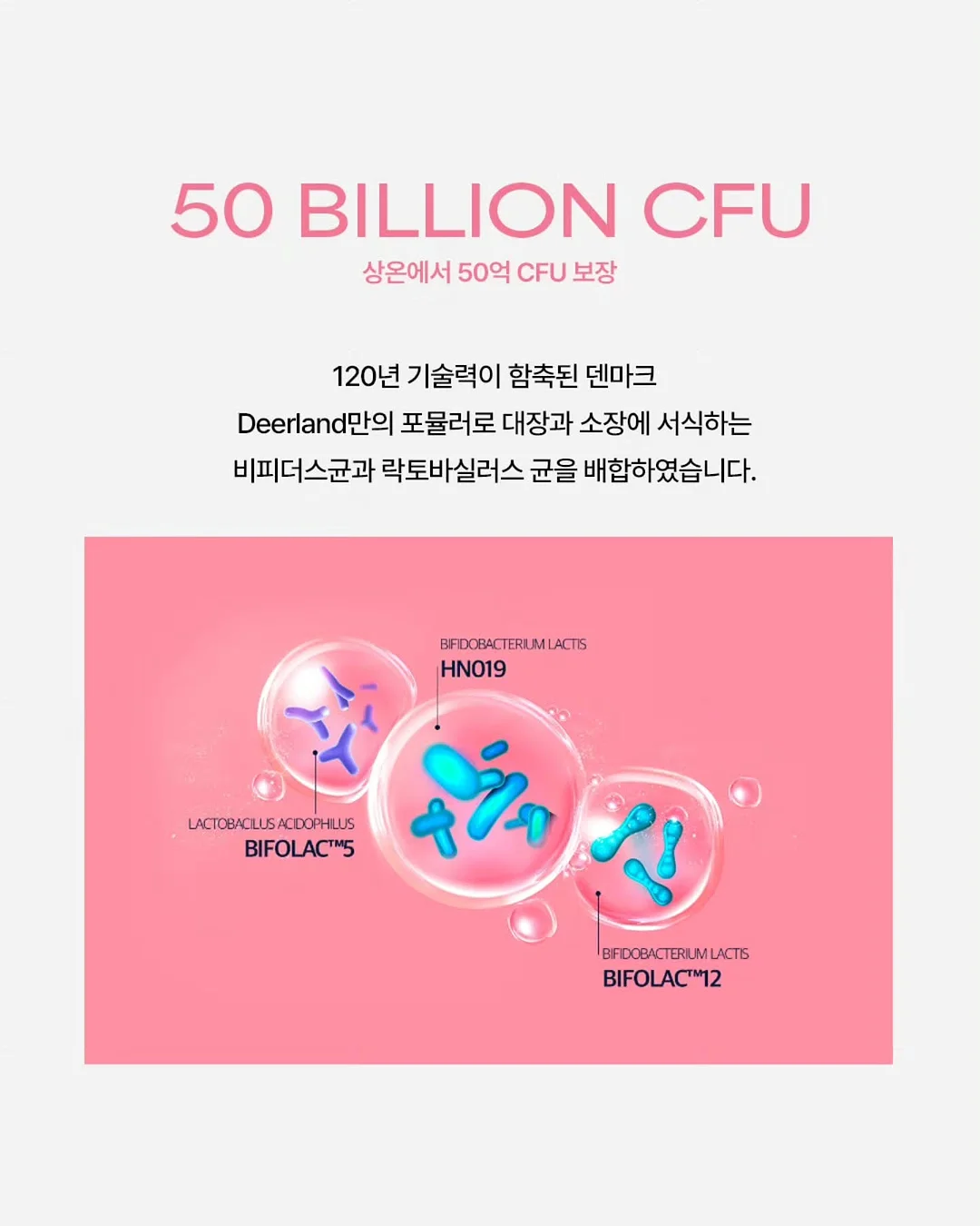 차량용 공기청정기 10