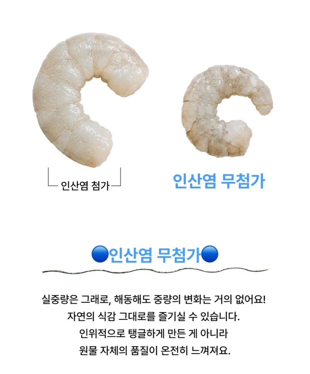리본빛블라 11