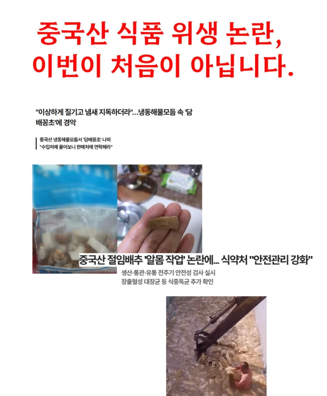 리본빛블라 12