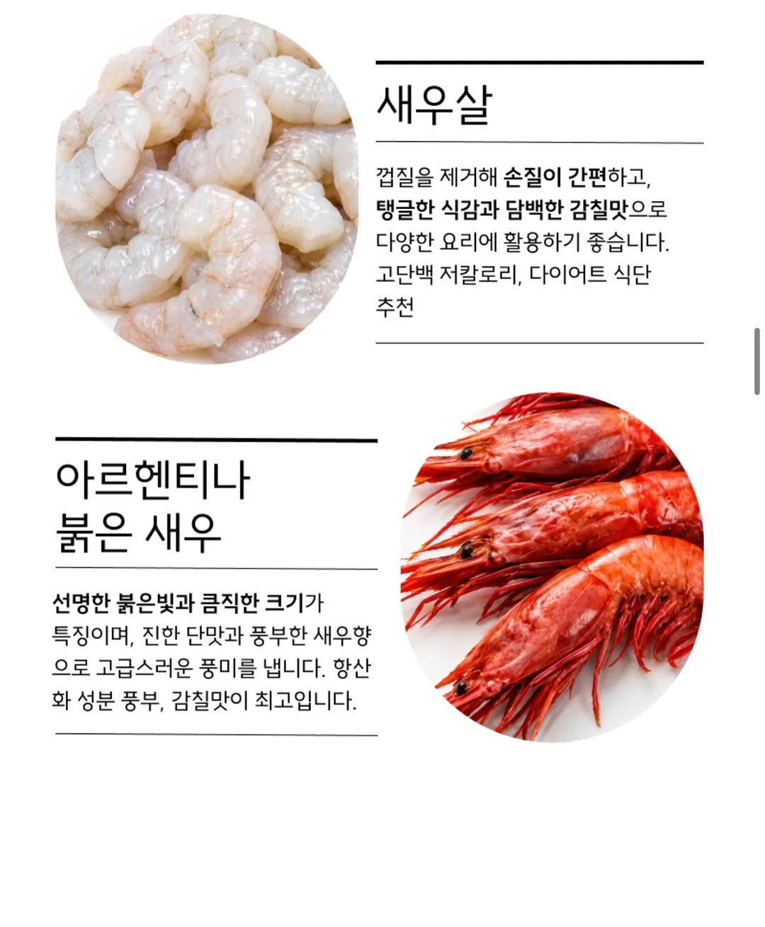 리본빛블라 16