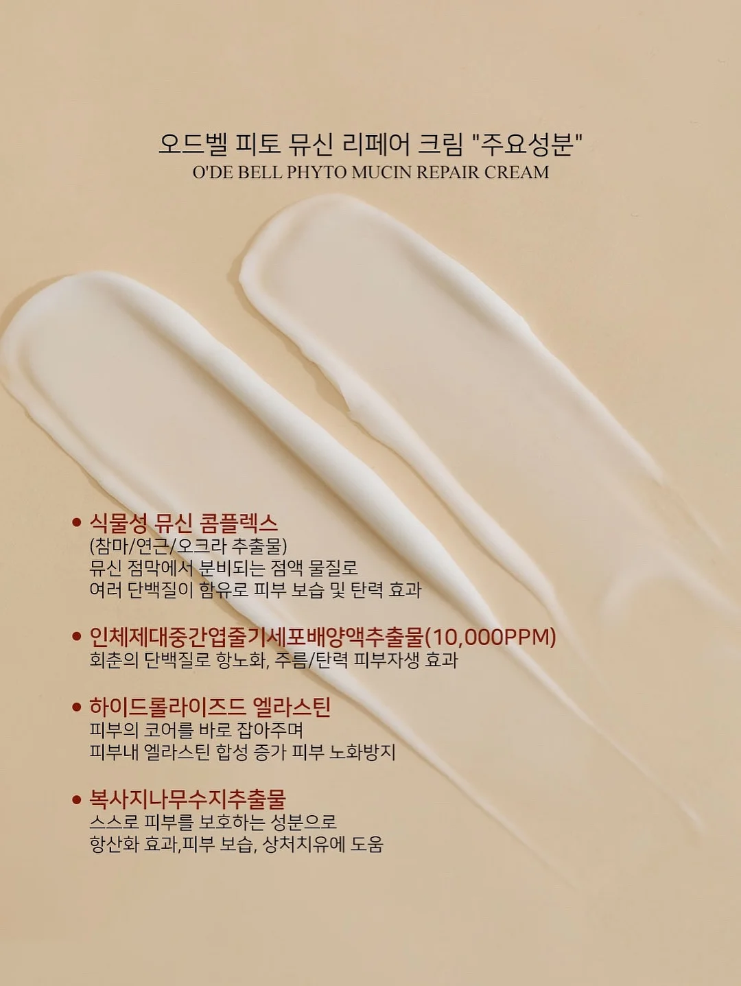 접이식 수영장 5