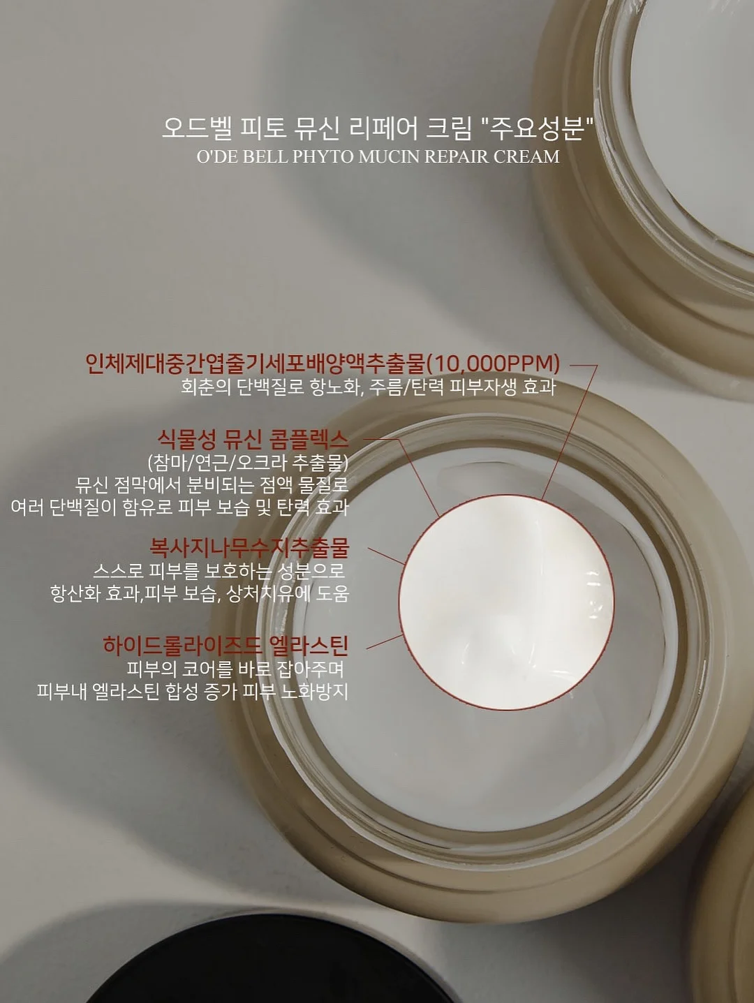 접이식 수영장 6