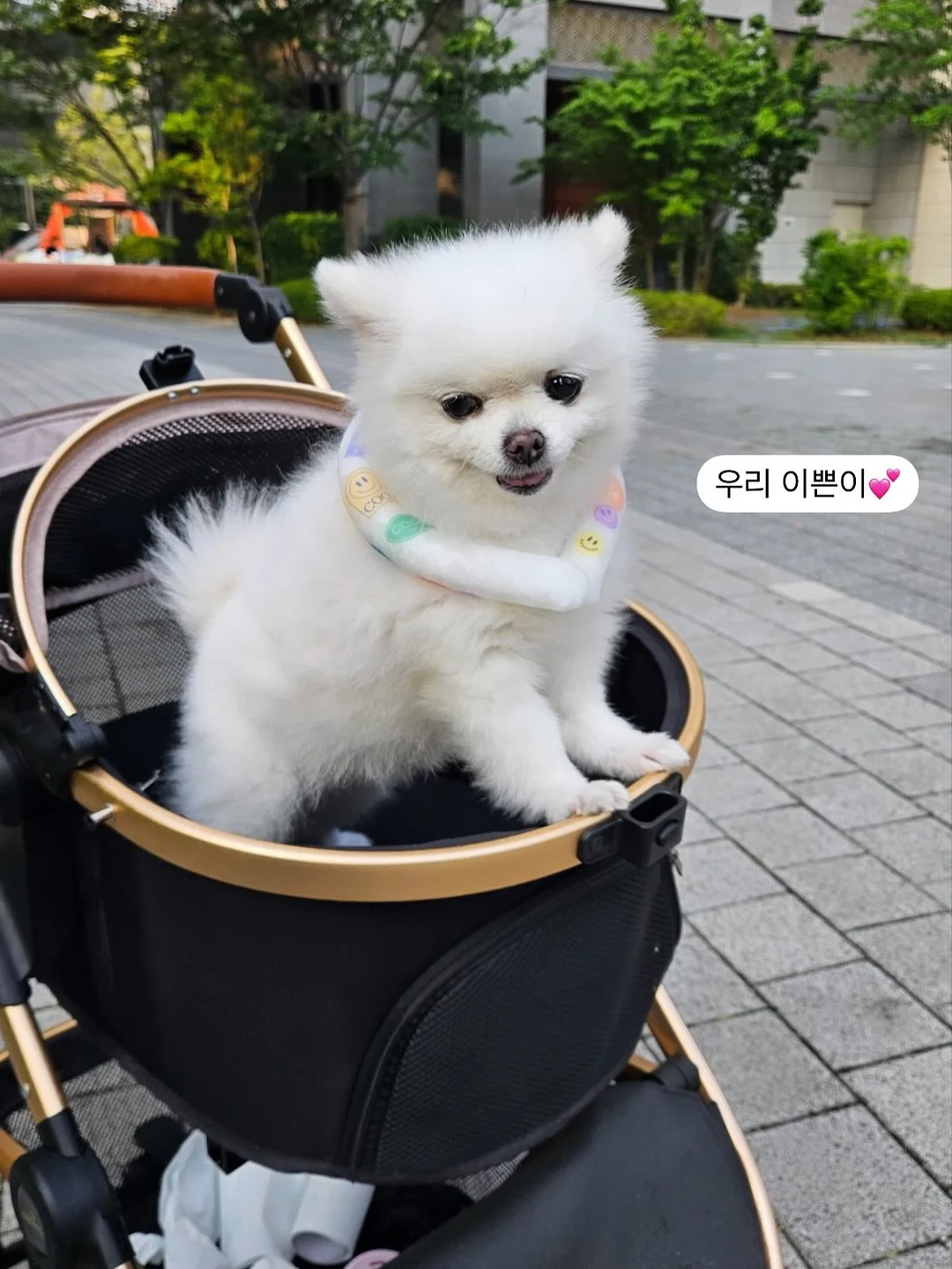 러닝 루틴 8