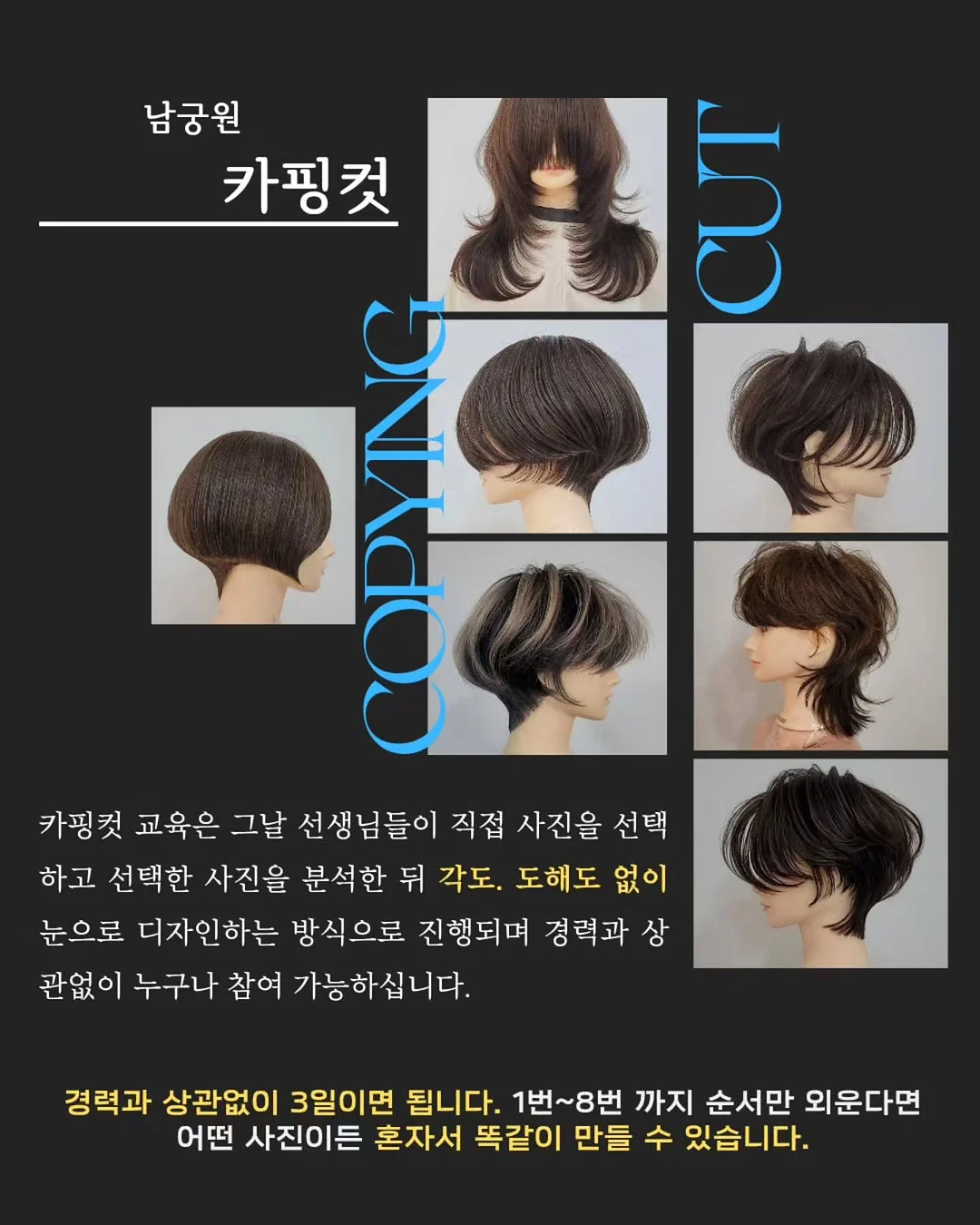 울애기쌩쌩 연어사료 1