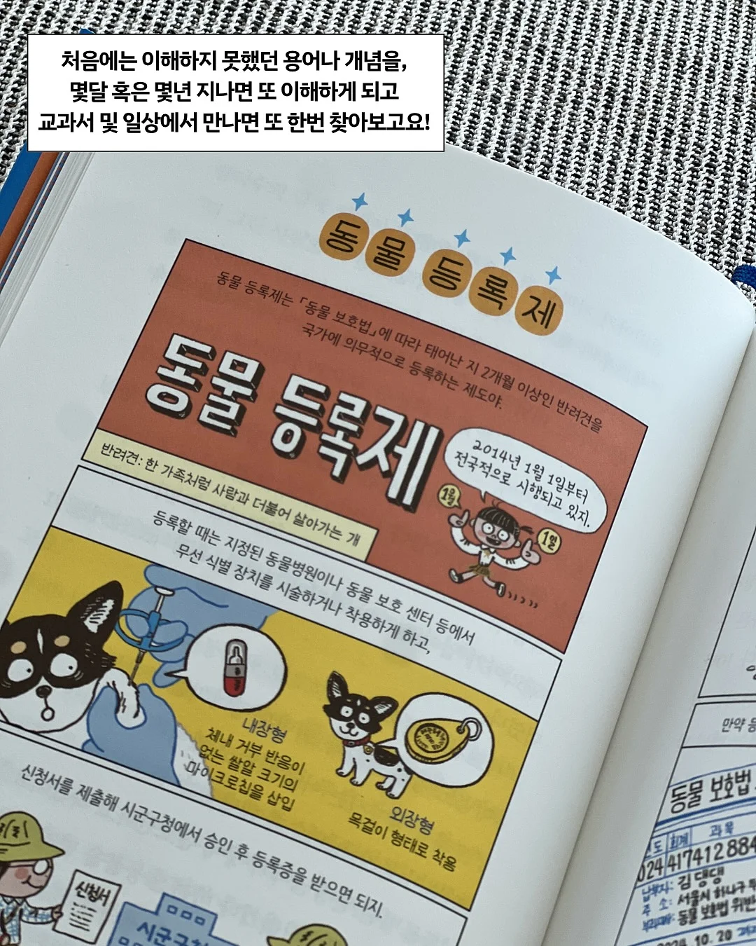 얼굴 커버 햇빛 차단 13