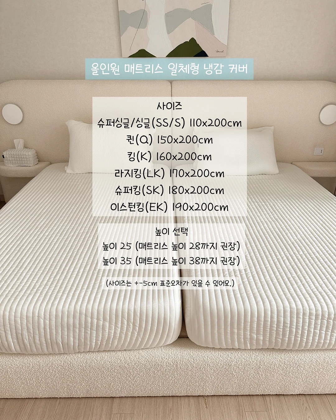 레이디카라 투피스 5