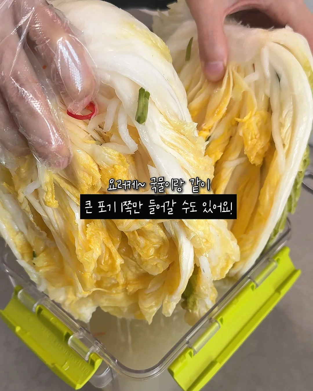구름프릴두건 7