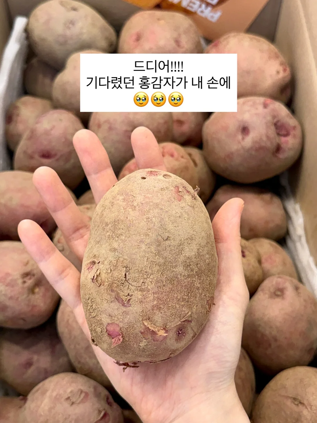 스타벅스 꿀템 미니컵 커피 15