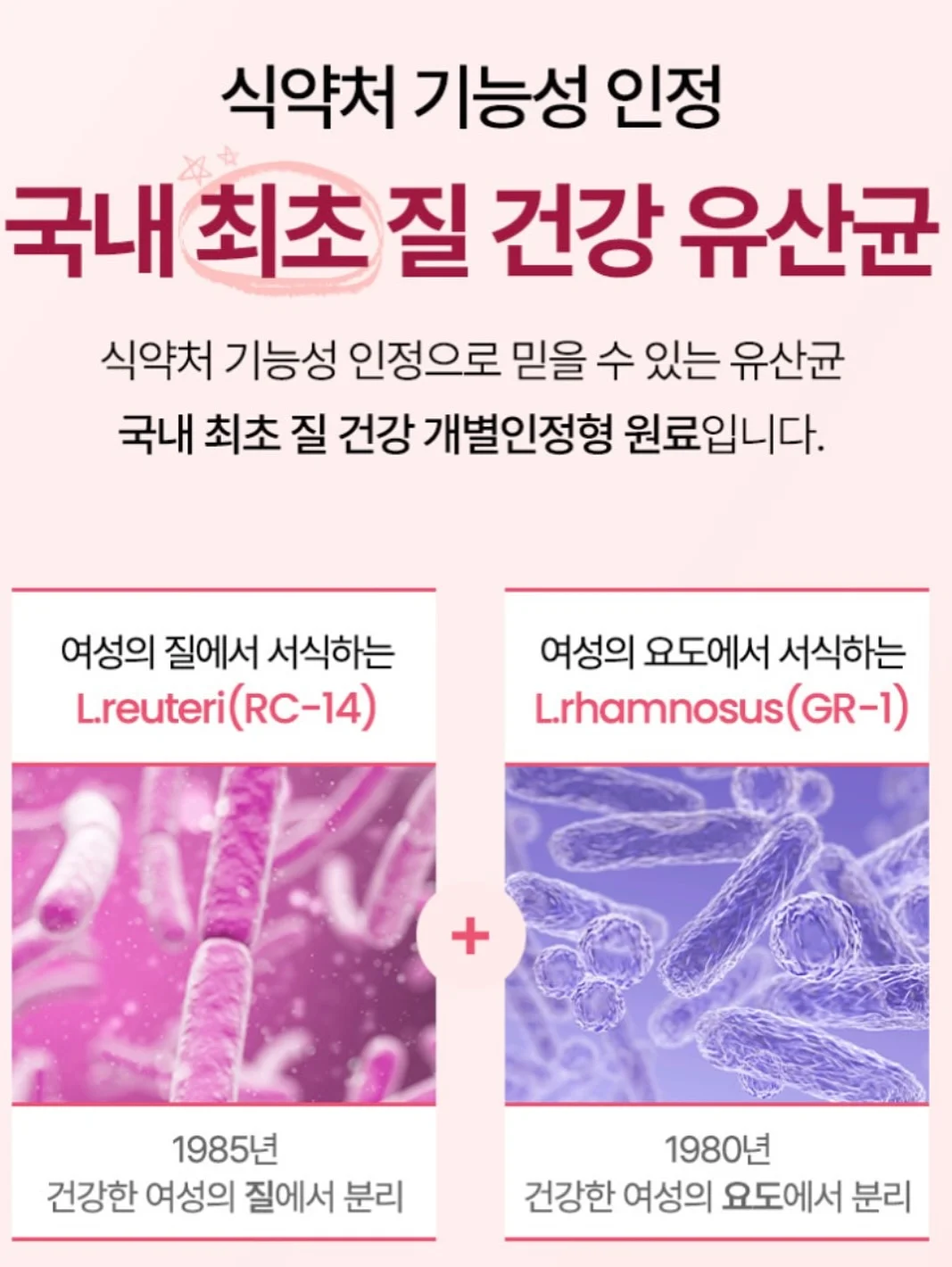 톤 트루 글로우 케어 틴트 11