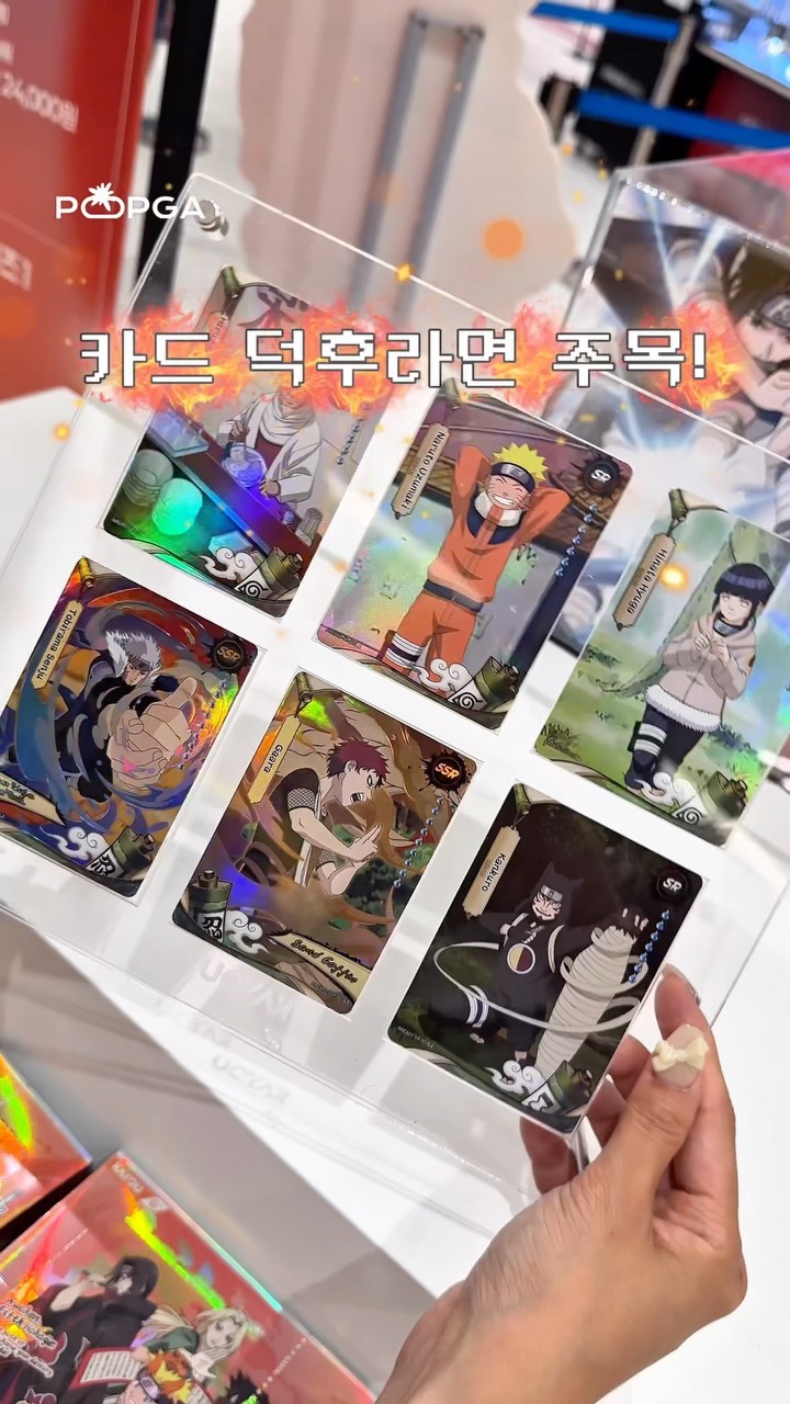 길고양이와 늑대 6권