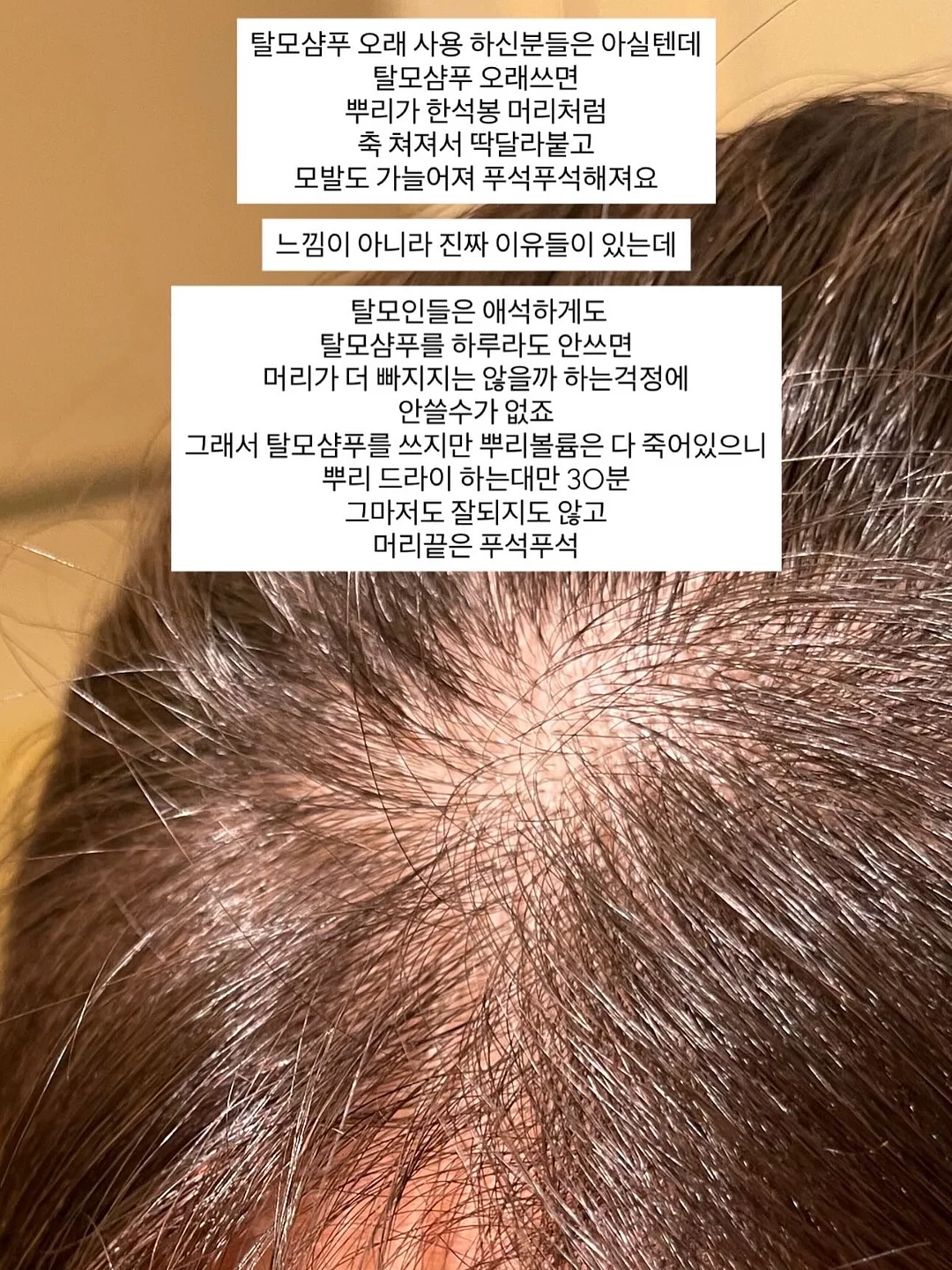 양우산 2