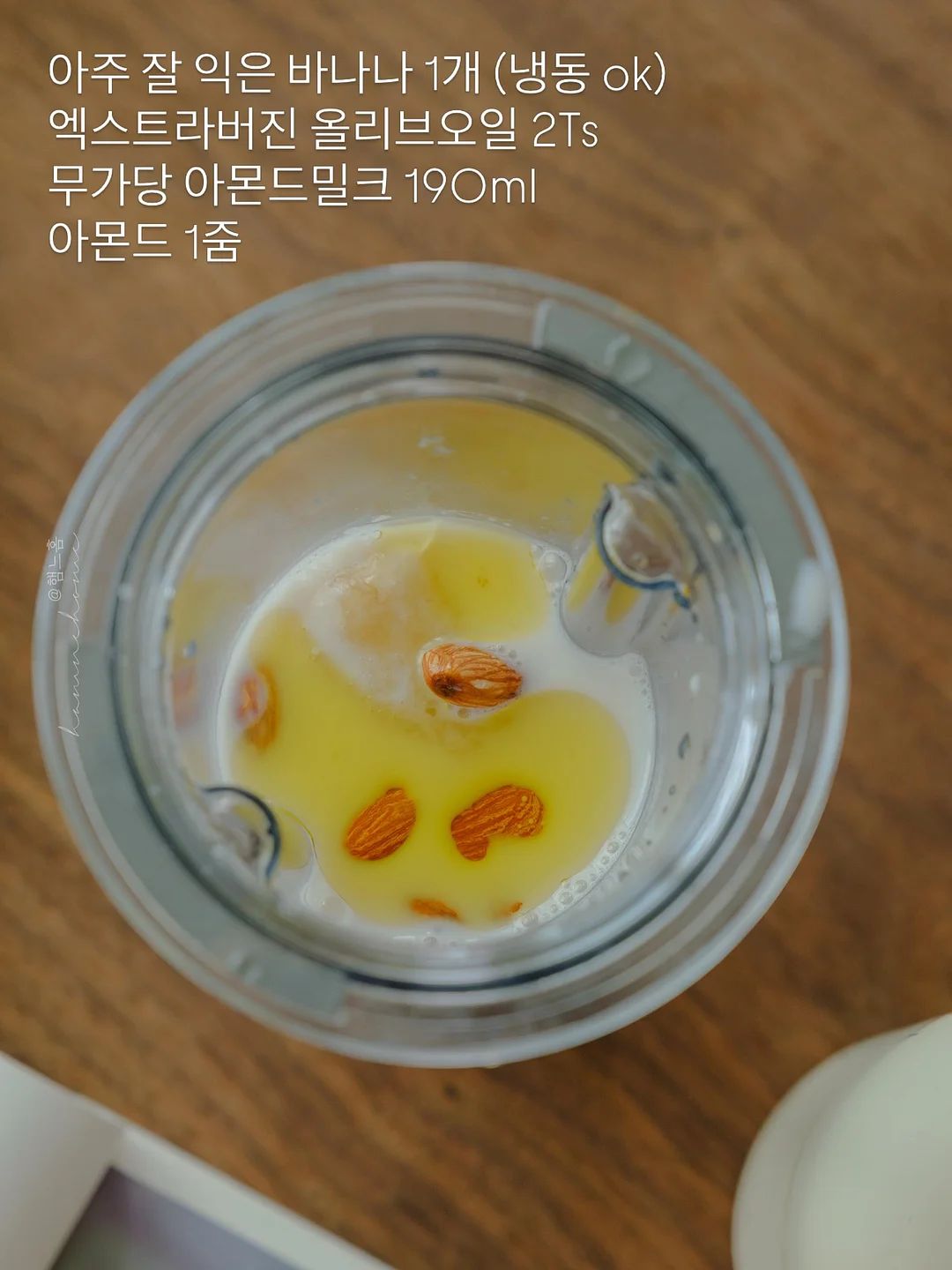 곤충 피규어 서식지 교구 2