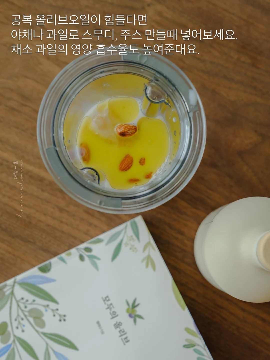 곤충 피규어 서식지 교구 4