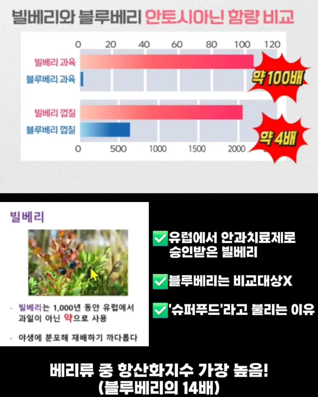디마르3 7