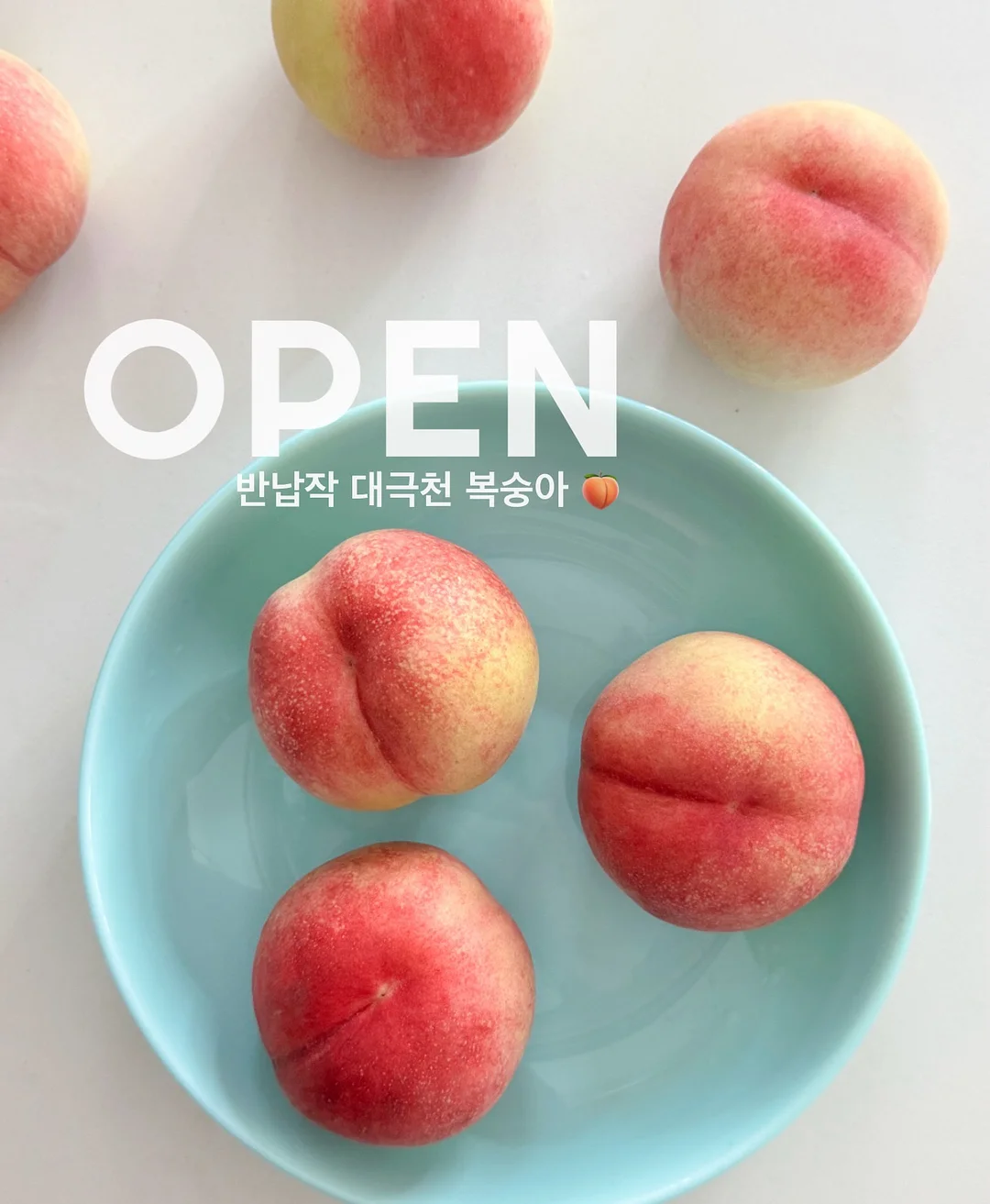 맥스컷 ABC주스 1
