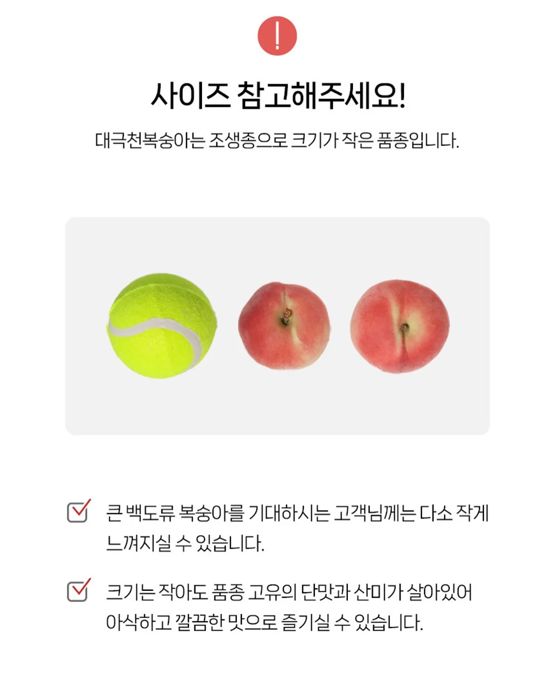 맥스컷 ABC주스 4