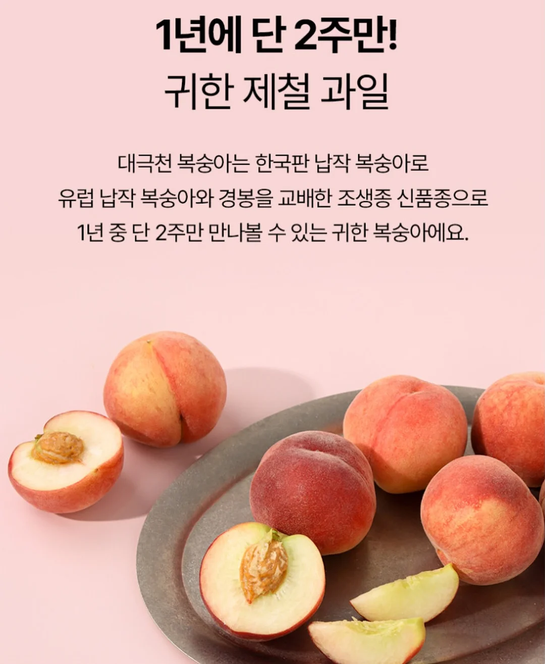 맥스컷 ABC주스 5