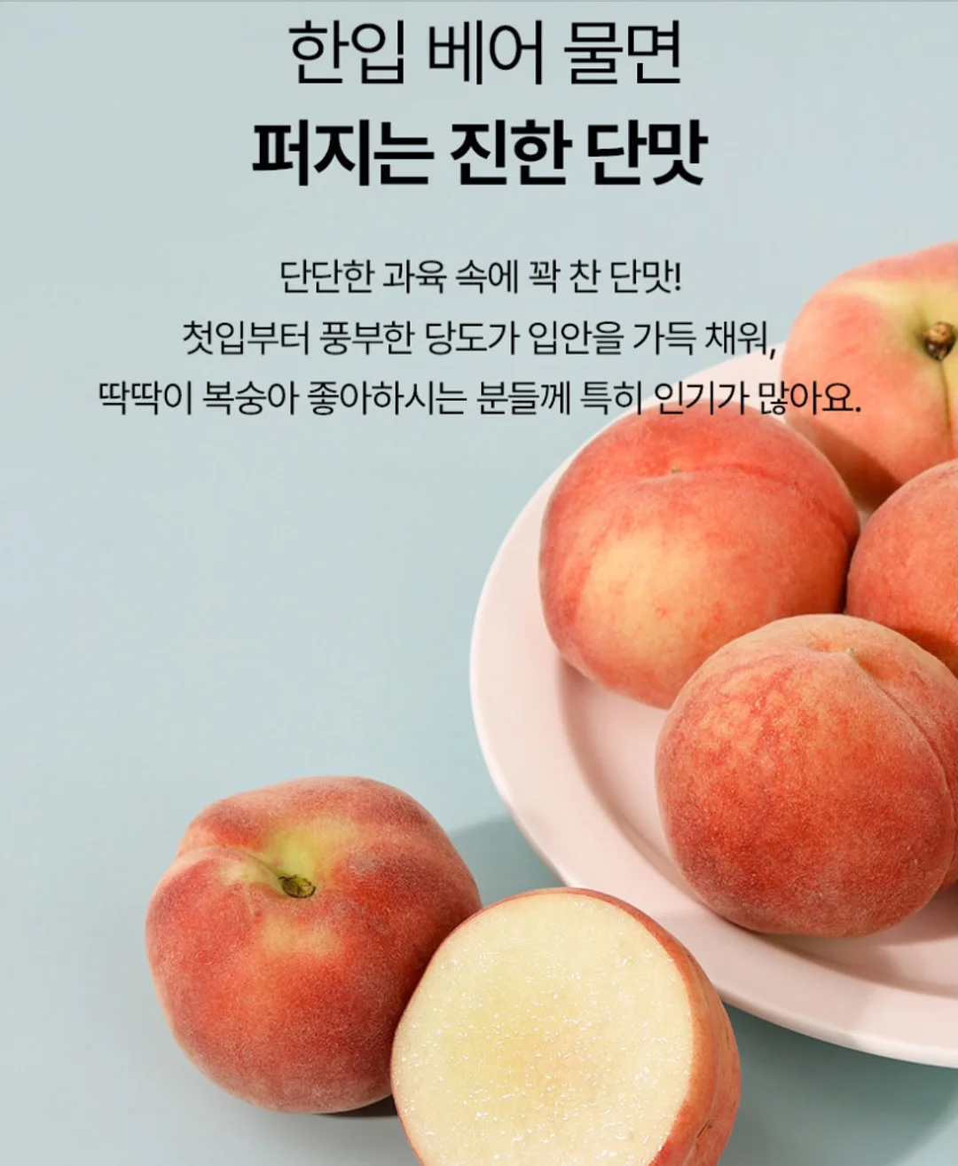 맥스컷 ABC주스 7