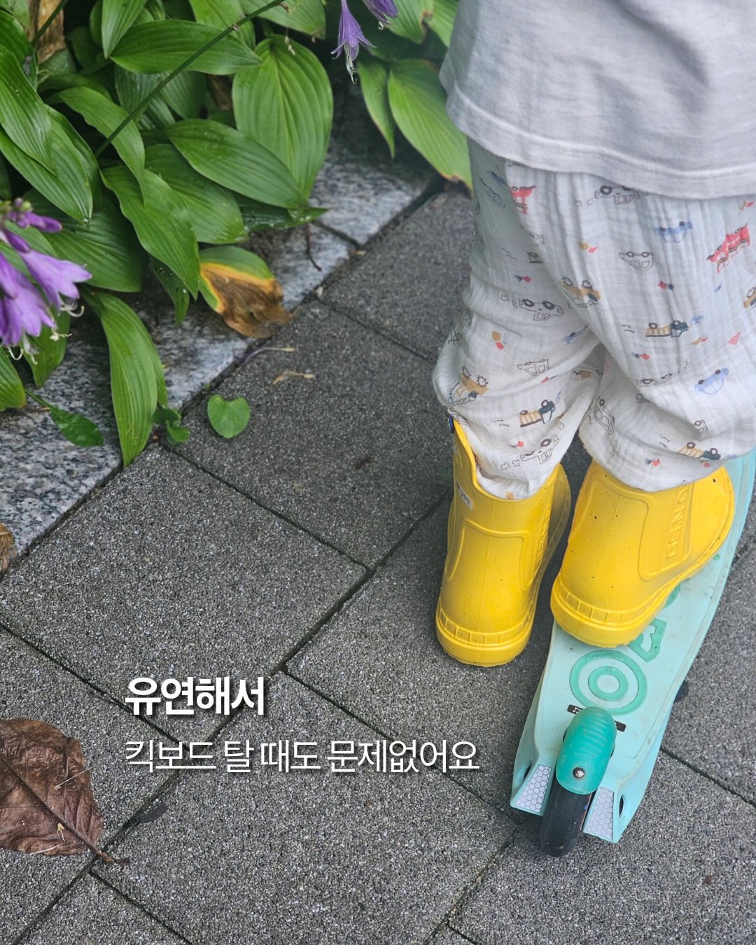 에디따 B grade 제품 4