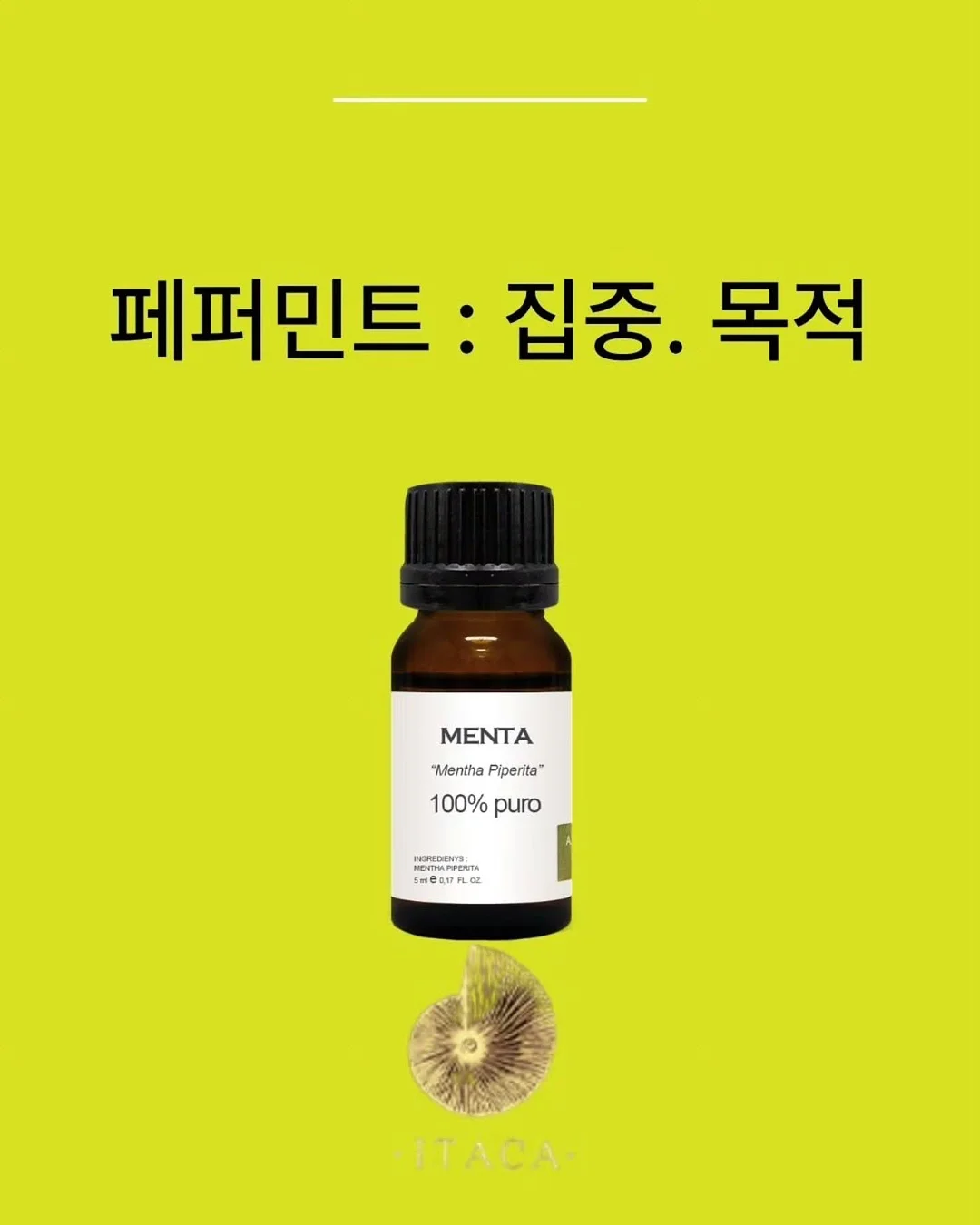 원단 2