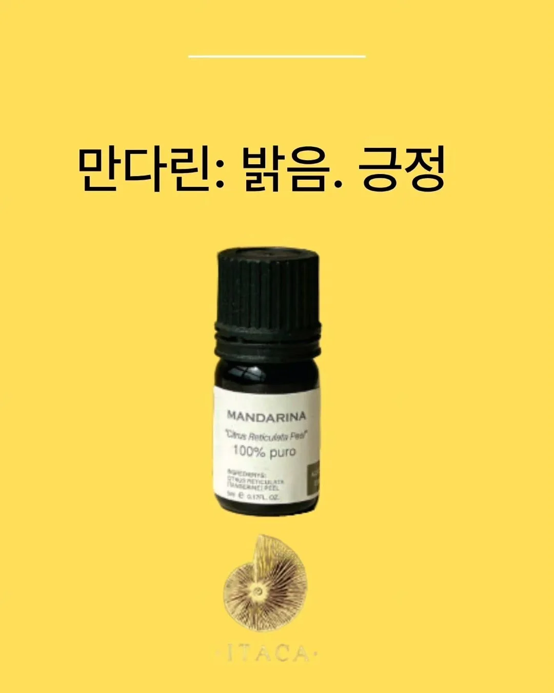 원단 3