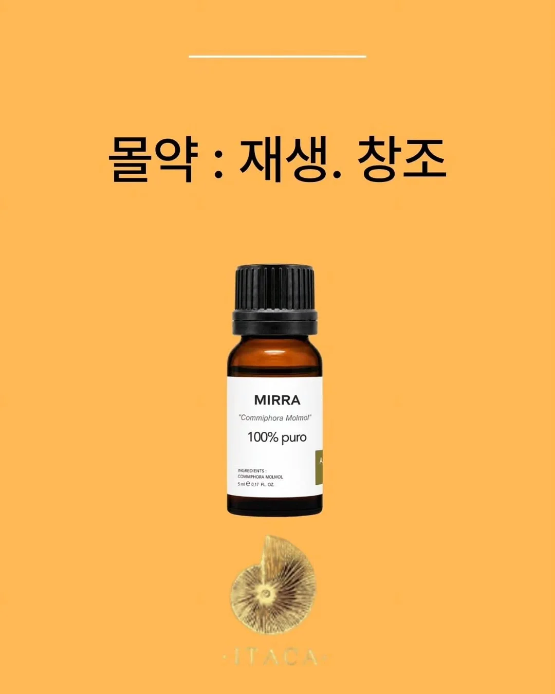 원단 4