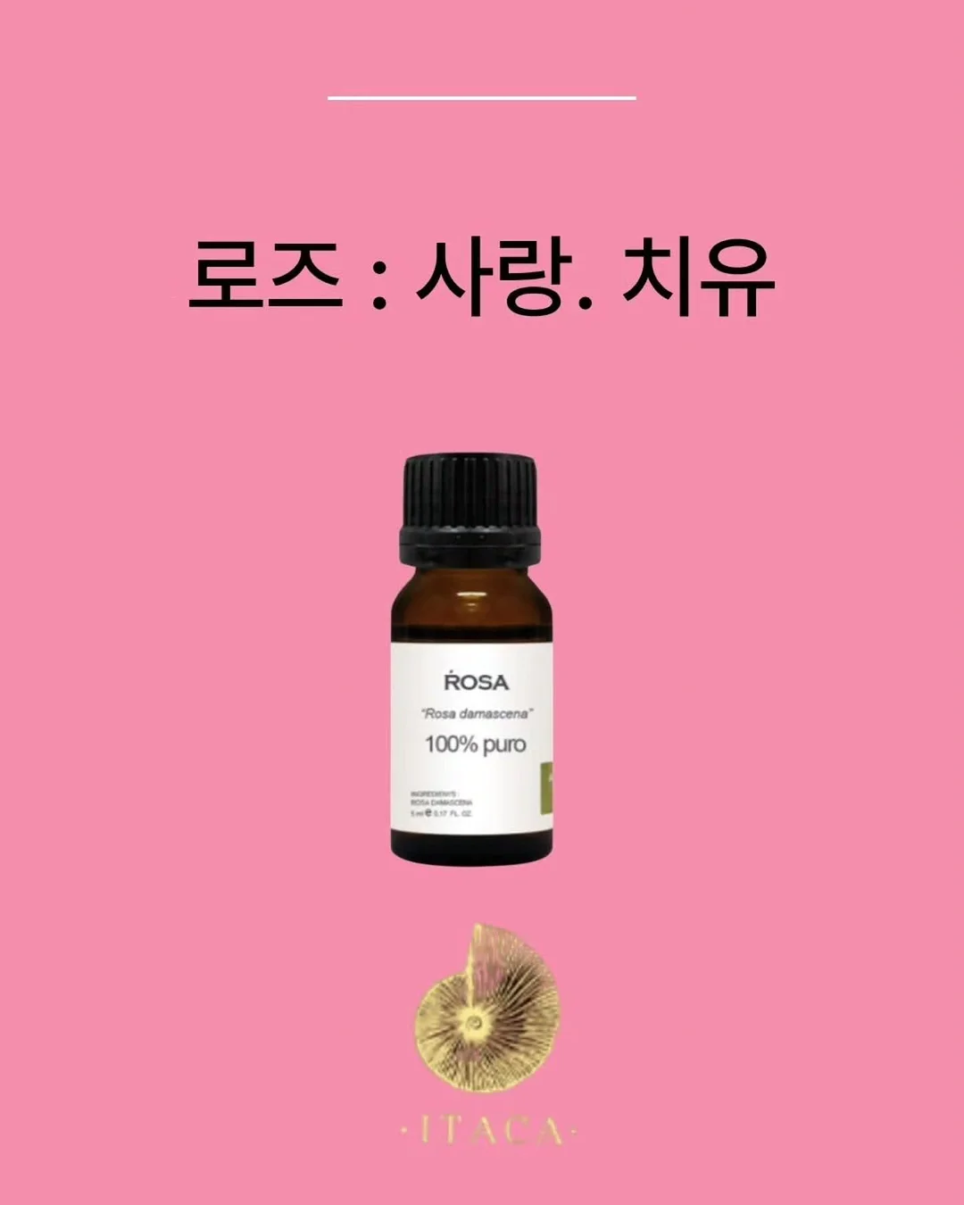 원단 5