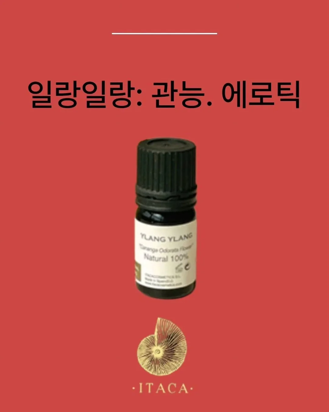원단 6