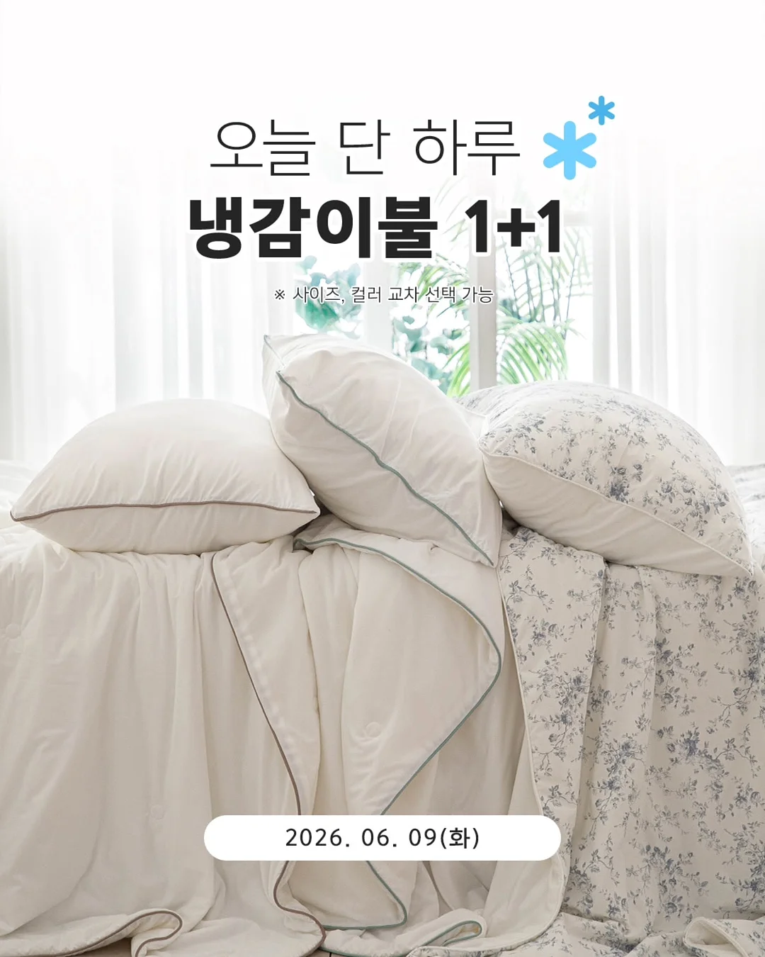 아르지탈 샴푸 2