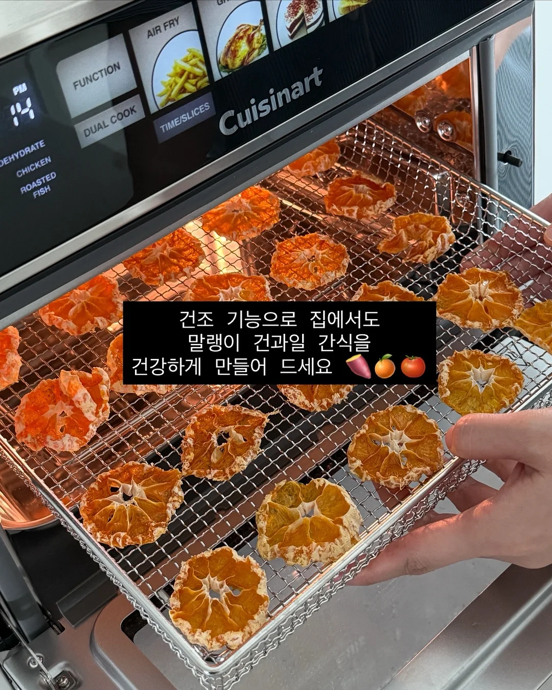 코지 키티 디저트볼 12