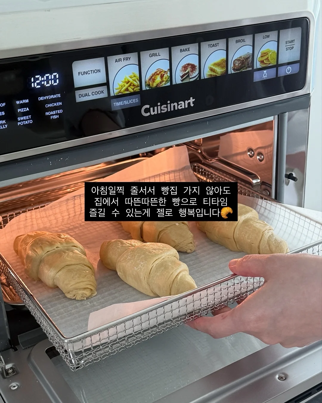 코지 키티 디저트볼 14