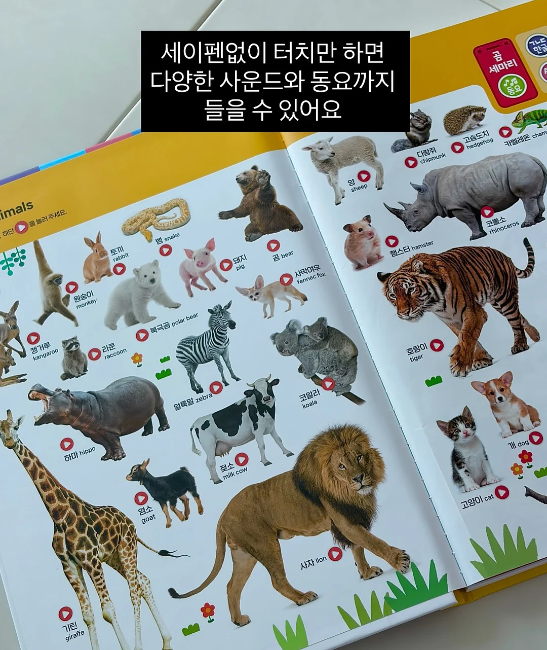 맘앤리틀 땅콩 실리콘 3in1 빨대컵 5